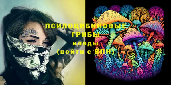 хмурый Балахна